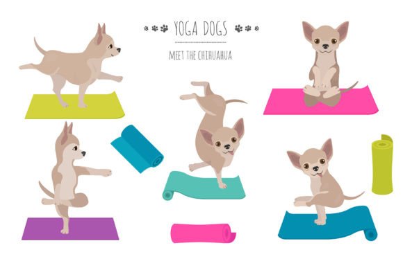 Chihuahua Yoga for Creative Projects