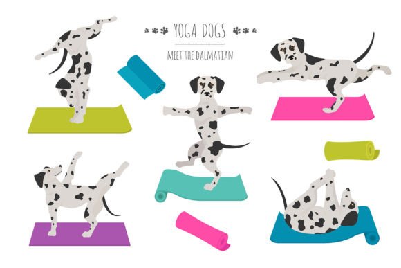 Dalmatian Yoga: A Unique Blend of Playfulness and Mindfulness