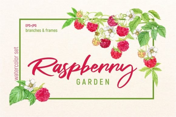 Garden Raspberry: A Versatile Element for Art and Design