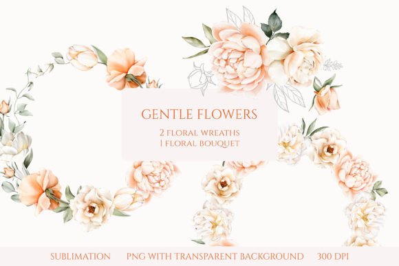 Gentle Flowers Illustration Set