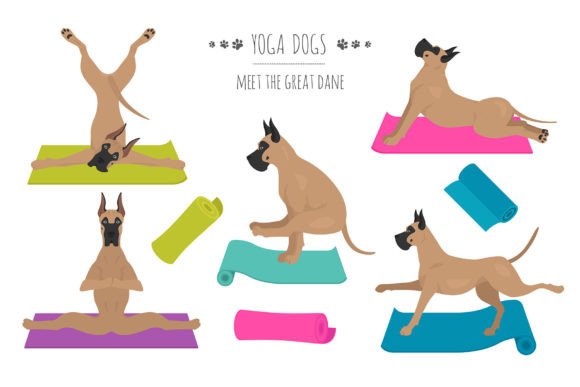 Great Dane Yoga: A Playful Approach to Design and Creativity