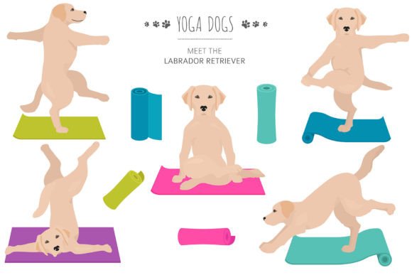 Labrador Retriever Yoga: A Unique Blend of Creativity and Practicality for Designers and Creators